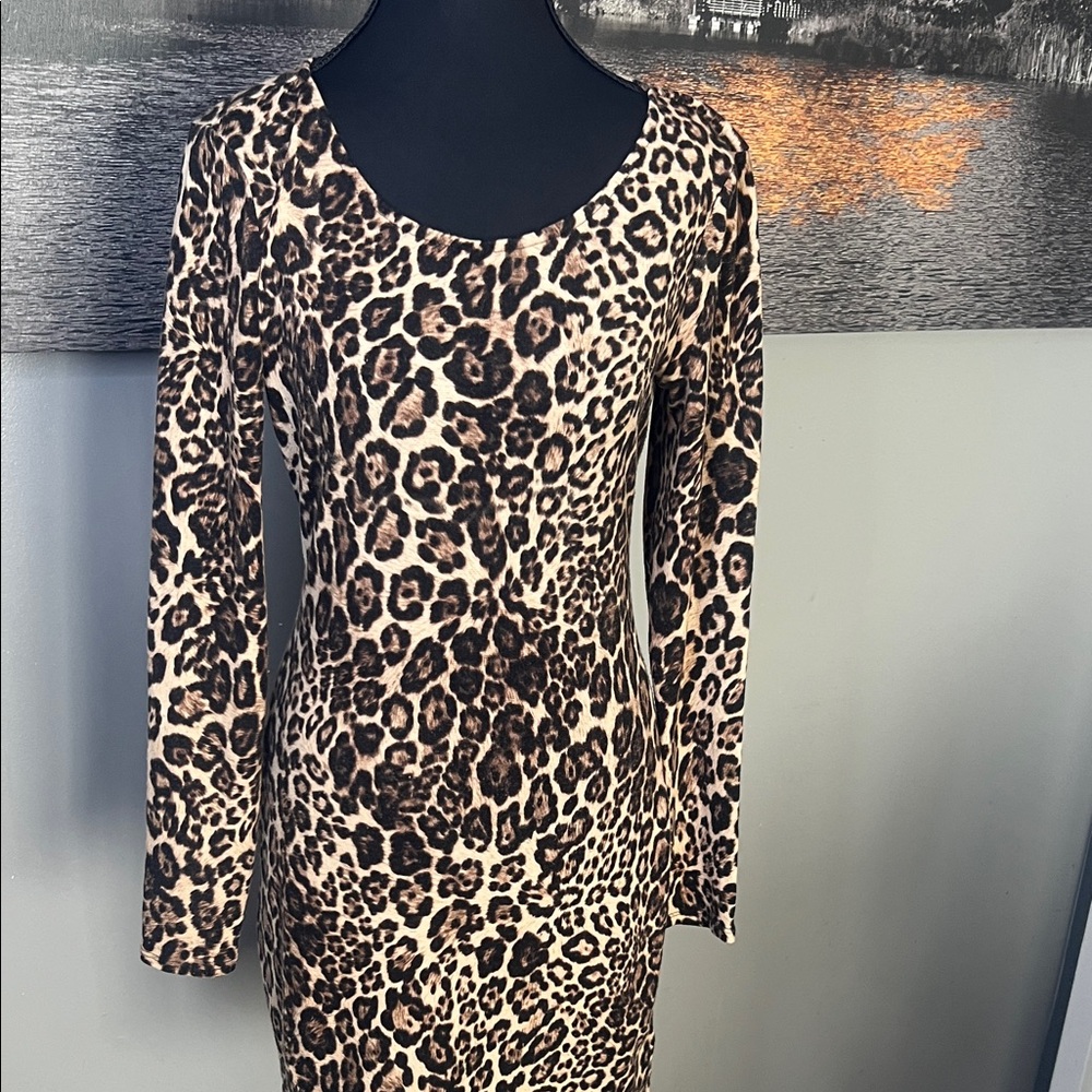 Forever 21 Animal Print Long Sleeve Dress